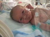 Noah Ryan's Online Memorial Photo